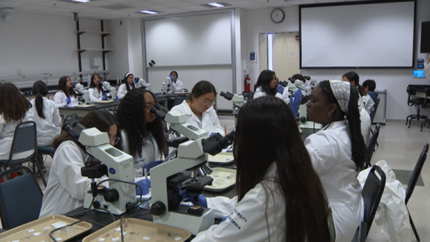 A group of people in lab coats looking through microscopes