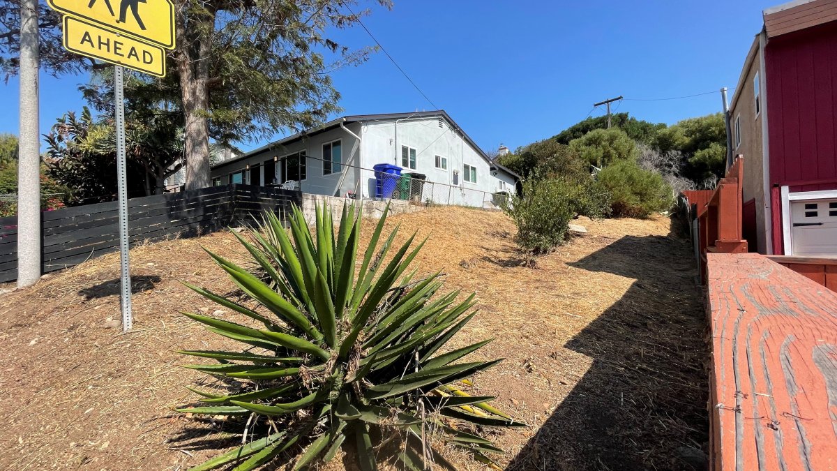 South Park residents relieved after overgrown lot owned by City of San