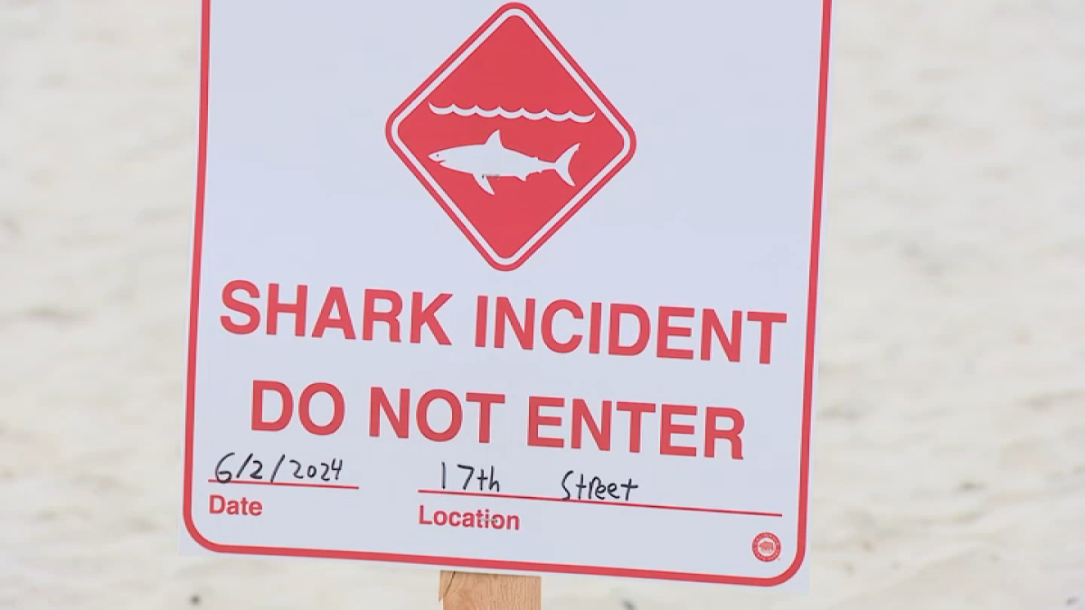 Shark that bit swimmer in Del Mar was a great white, expert confirms ...