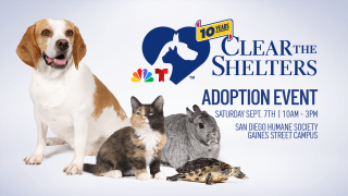 NBC7 and Telemundo 20 have partnered with several shelters in San Diego County to promote pet adoption and raise funds for animal welfare.