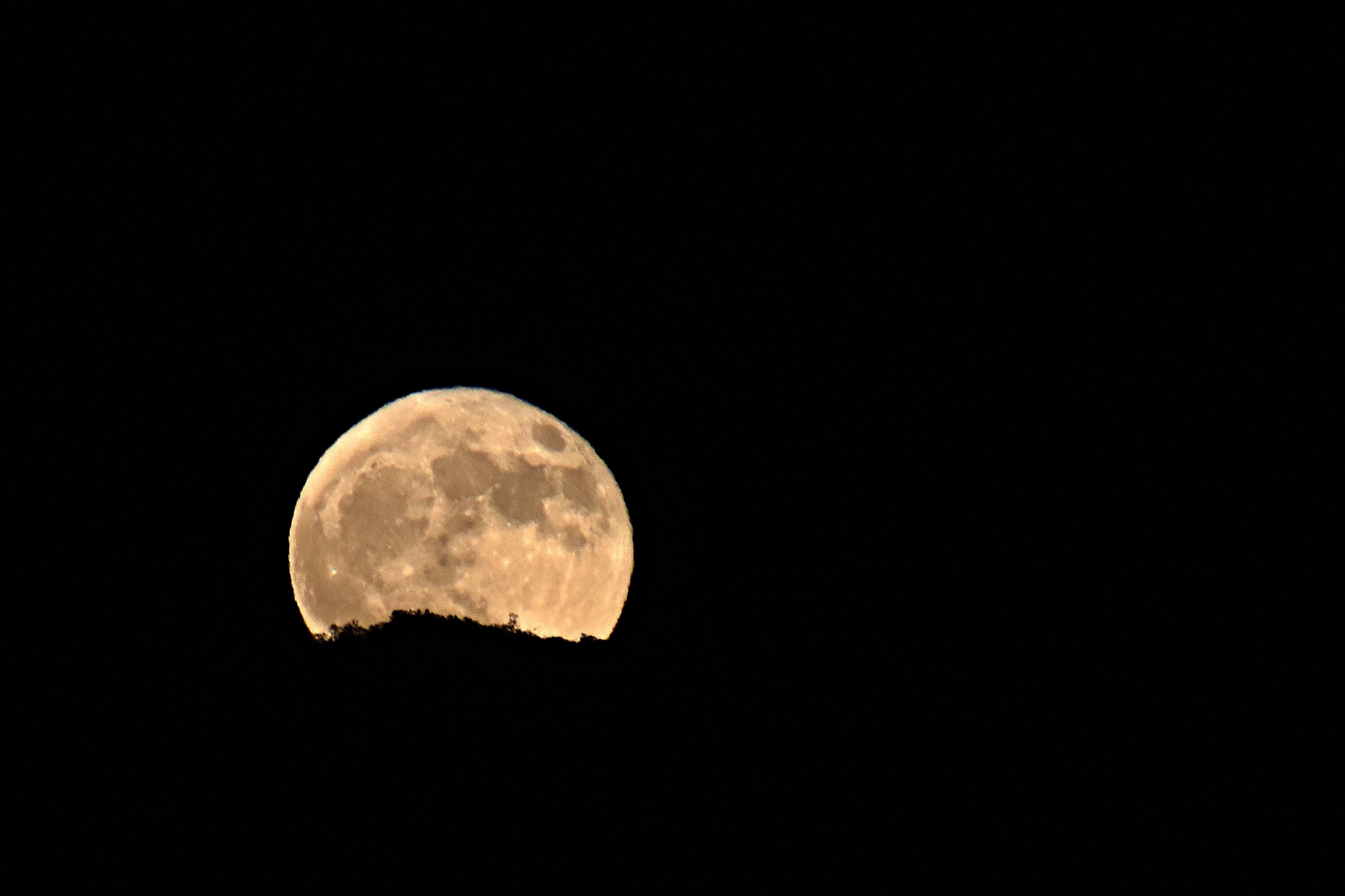 Blue supermoon rising Aug. 19, 2024. Credit Annie Durkin.