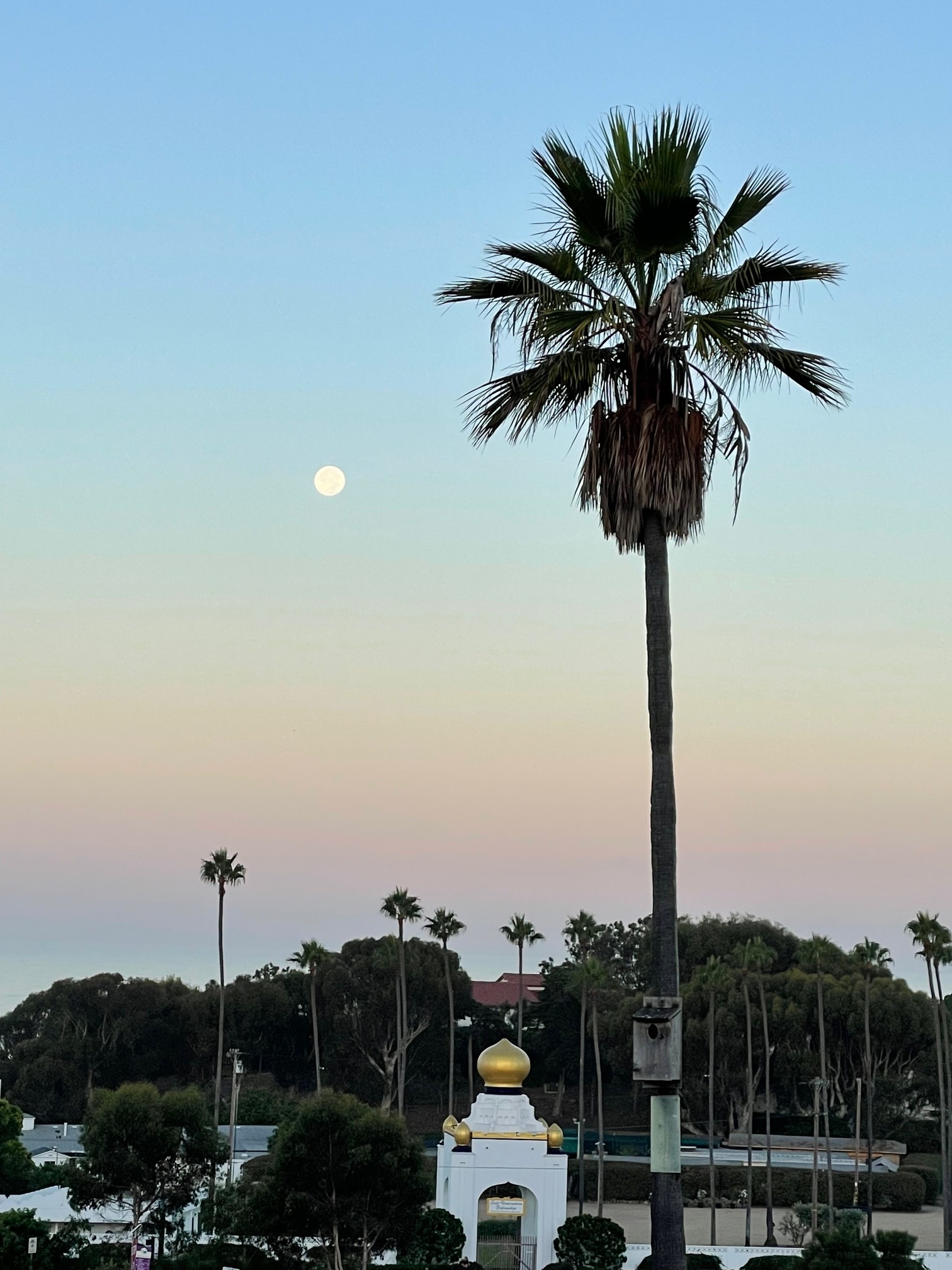 The blue supermoon from Encinitas-Cardiff Aug. 19, 2024. Credit: Darlene Howe.