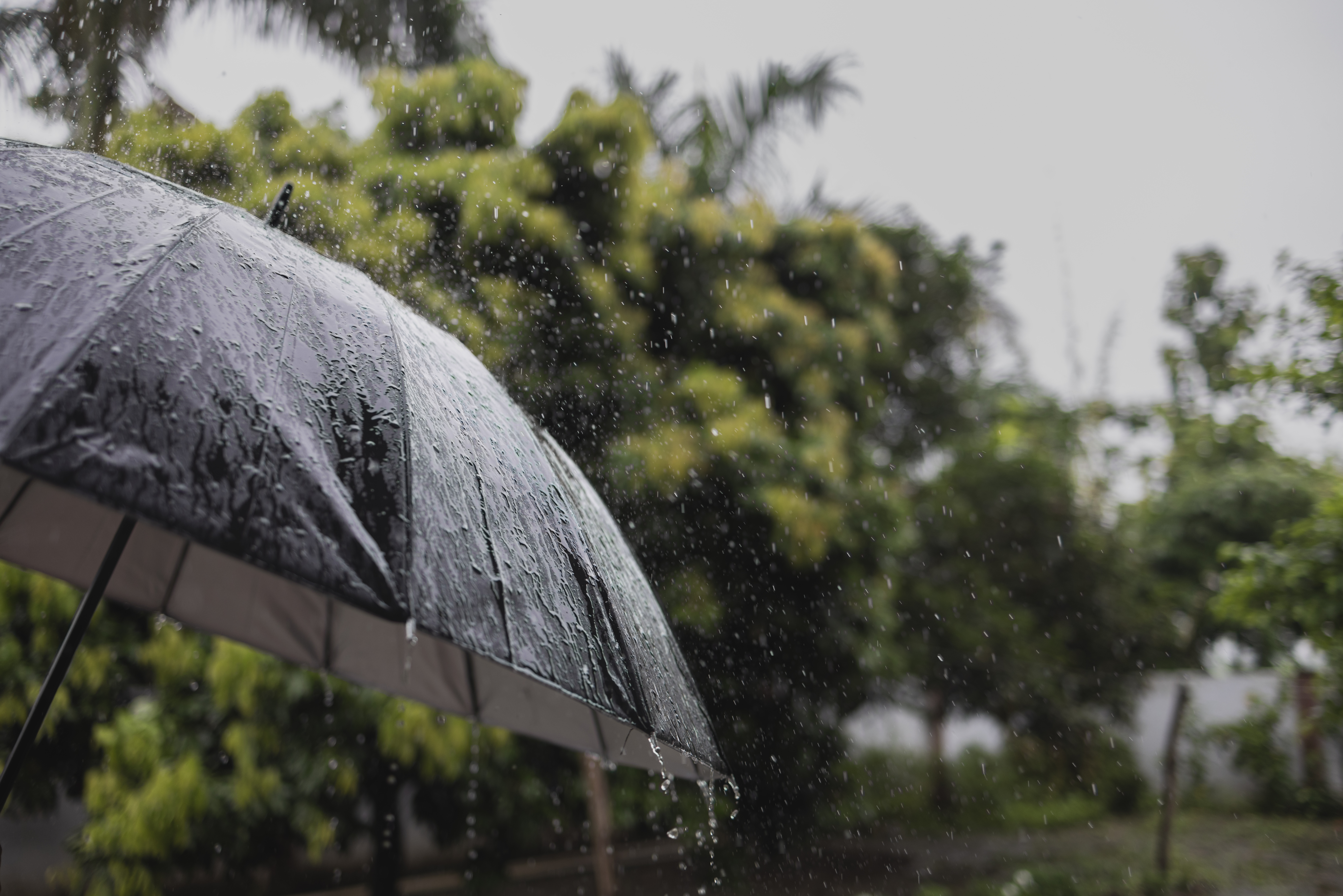 Rain, cooler temperatures on the way to San Diego