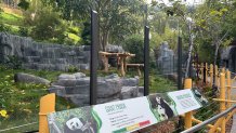 Inside Panda Ridge at the San Diego Zoo.
