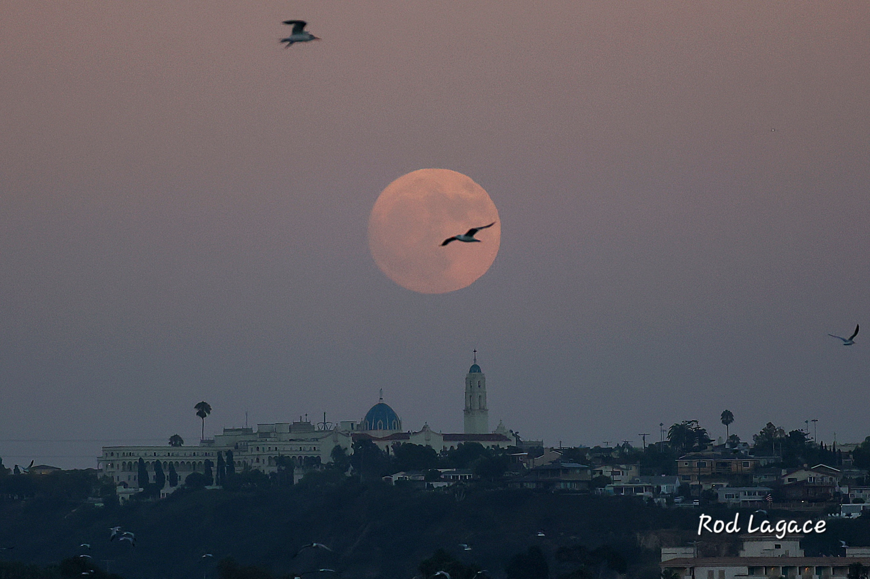 Blue supermoon over San Diego State University. Aug. 18, 2024. Credit: Rod Lagace