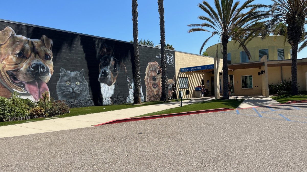 Chula Vista Animal Services receives 50K grant to help ‘Clear the