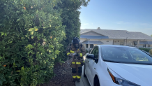 A firefighter rescues a cat from a house fire on Aug. 6, 2024. (North County Fire Protection District)