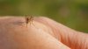 Fourth San Diego County resident tests positive for West Nile virus this summer