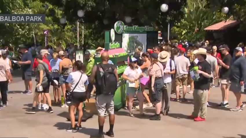 “Panda Ridge” opens at the San Diego Zoo