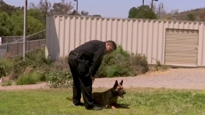 Bills to regulate police dog use in California die in state legislature