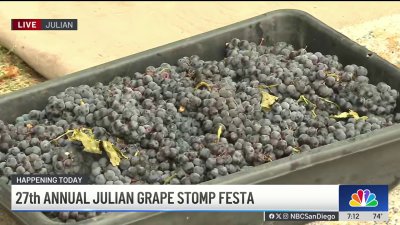 Julian Grape Stomp Festa 2024 preview