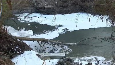 Disminuye el flujo de aguas residuales en el Río Tijuana