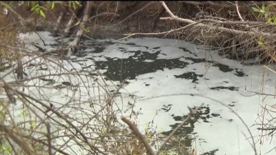 San Diego County Air Pollution Board discusses sewage toxins