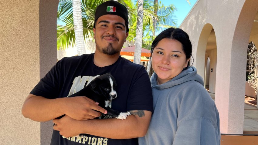 Dusty gets adopted at NBC 7 and Telemundo 20's Clear the Shelters event on Sept. 9, 2024.