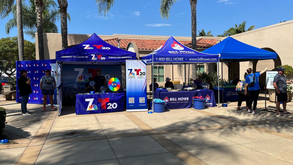 2024 Clear the Shelters annual pet adoption event – NBC 7 San Diego