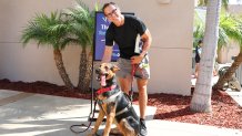 Michael O'Neil and his new fur-ever friend Palm Tree at NBC 7 and Telemundo 20's Clear the Shelters event on Sept. 9, 2024.