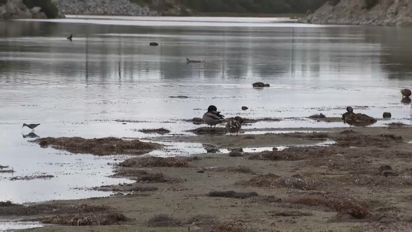 The San Elijo Lagoon is drying up because of increase sand.