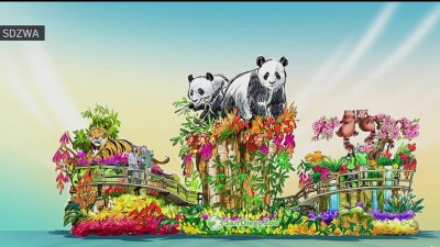 Pandas in limelight on San Diego Zoo's 2024 Rose Parade float