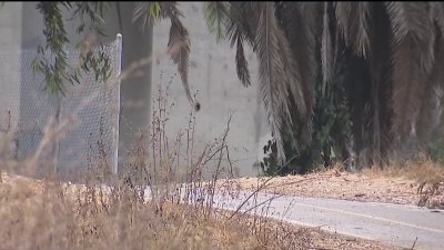 Oceanside police investigating attacks against homeless