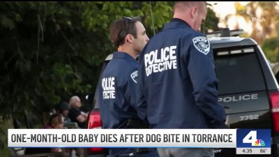 Month-old baby dies after being bitten by dog in Torrance