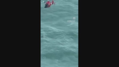 Video shows Coast Guard rescuing man clinging to cooler in the Gulf of Mexico