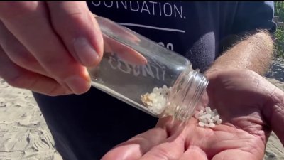 ‘Nurdles' washing up on San Diego County beaches are causing big problems