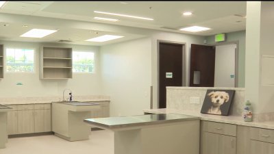 Rancho Coastal Humane Society celebrates new multi-million dollar upgrades