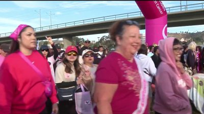 27th Annual Making Strides Against Breast Cancer Walk