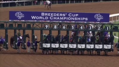 Breeders' Cup to generate about $150M for San Diego County economy