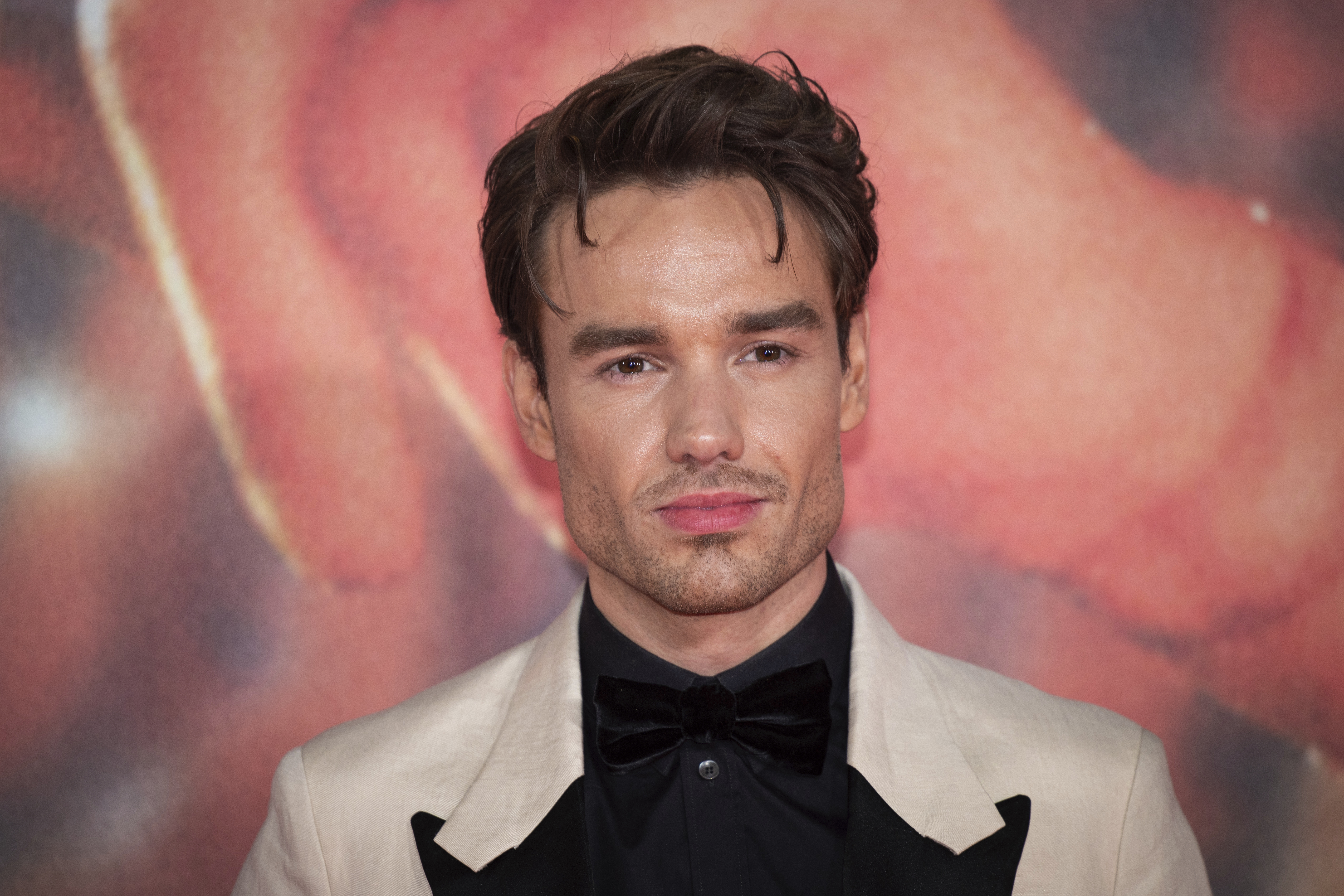 Liam Payne’s sister Ruth apologizes for not being able to ‘save’ him ...