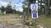 Grandparents found hugging one another after fallen tree killed them in South Carolina home