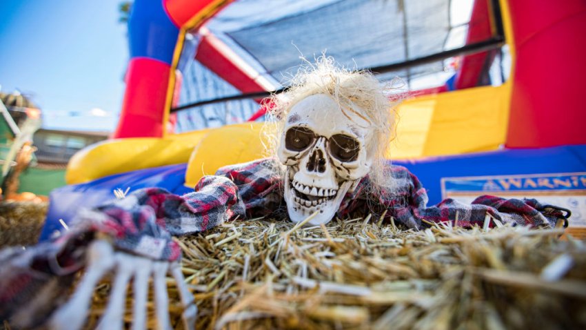 Mr. Jack O'Lanterns Pumpkin Patches Officially Open For 2021 Halloween Season