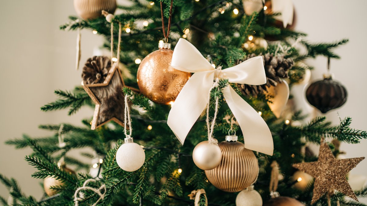 Green Christmas Everything you need to know for an ecofriendly