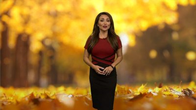 Francella Perez's evening weather for October 28, 2024