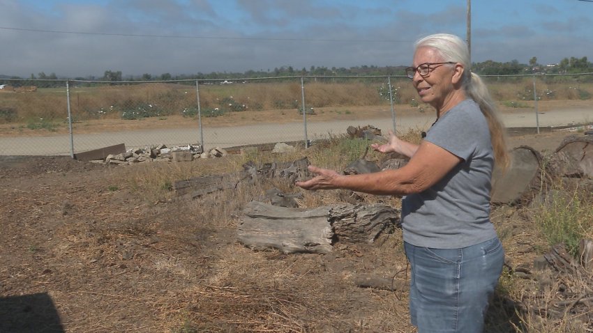 Woman in a grey shirt and jeans stands near a field and dirt road.