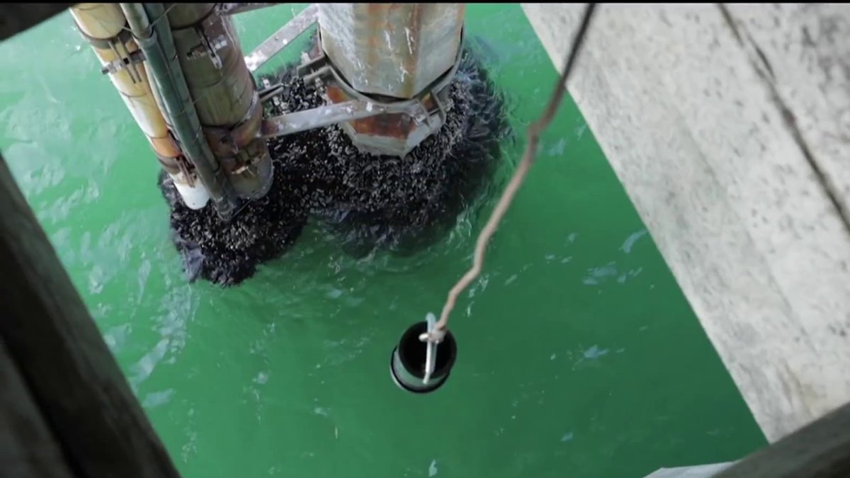 100 years of research at Scripps Pier helps explain our changing climate