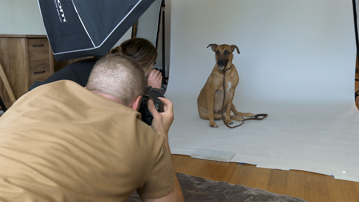 Professional photographer Adrian Grand snaps photos of Nova that could help the foster dog find a forever family.