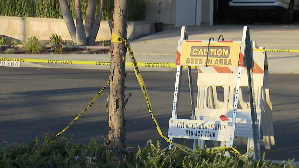 Swarm of bees stings woman hundreds of times in Scripps Ranch