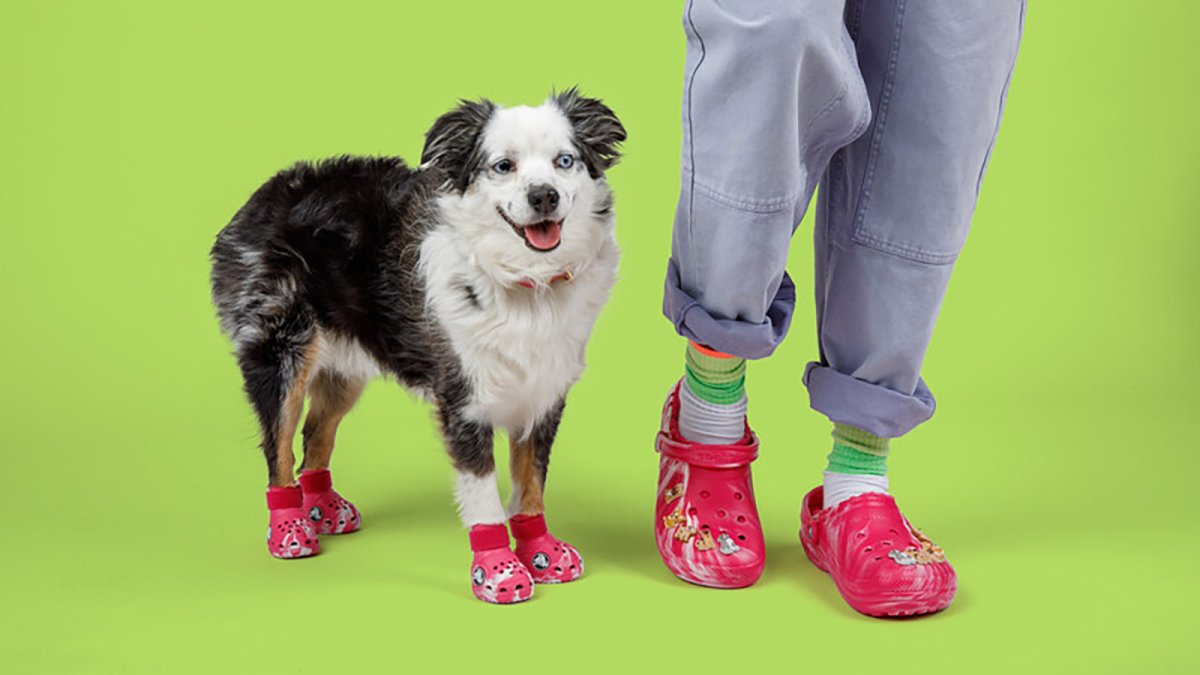 Crocs is releasing shoes for dogs and matching clogs for humans – NBC 7 ...