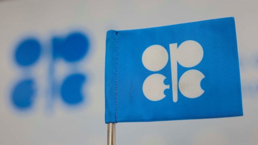 A view shows the logo of Organization of the Petroleum Exporting Countries (OPEC) during the United Nations climate change conference COP29, in Baku, Azerbaijan November 13, 2024. 