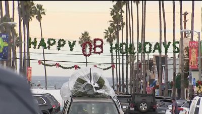 How is Ocean Beach Pier closure impacting its small businesses?