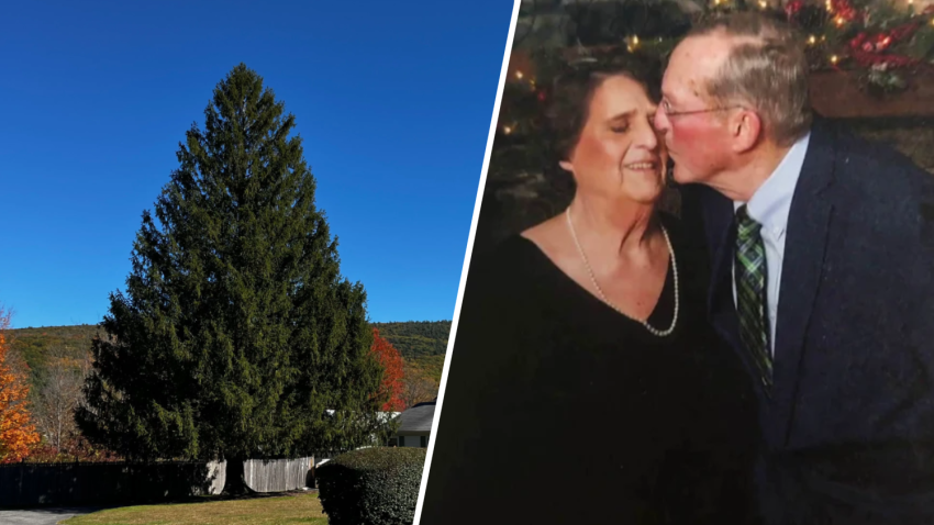 Earl Albert, right, donated a huge Norway spruce tree to be the 2024 Rockefeller Center Christmas tree.