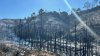 College Area brush fire sparks in palm-filled canyon near homeless encampment: San Diego Fire