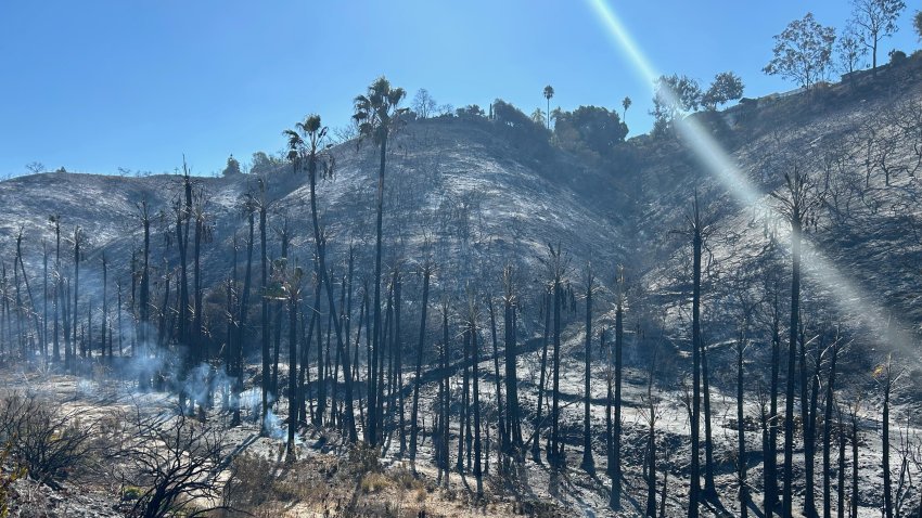 A brush fire in the College Area started in or near a homeless encampment in a canyon, according to San Diego Fire-Rescue.