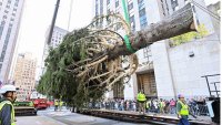 Rockefeller Center tree