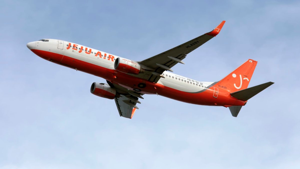 航空機・ヘリコプター BOEING 737-800 Boeing 737-800, the model that crashed in South Korea, is one of