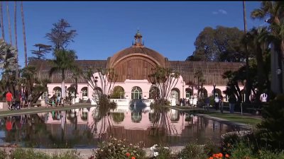 Balboa Park's Historic Botanical Building set to reopen at December Nights