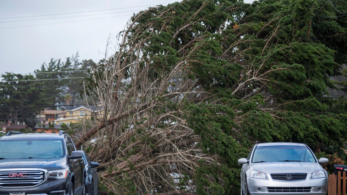 Storm generates rare tornado warning in San Francisco NBC 7 San Diego