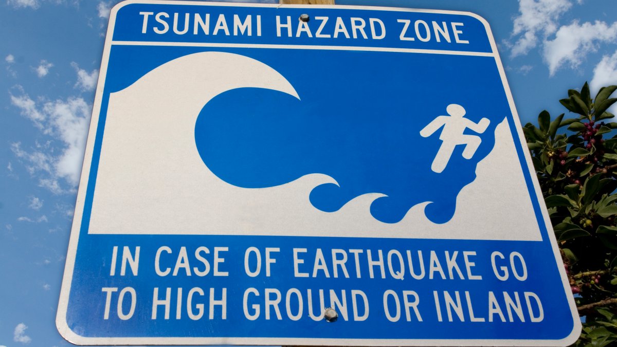 Tsunami news san diego