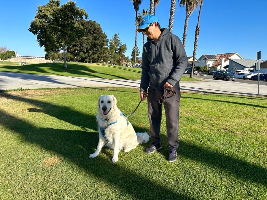 Dog owner in park.